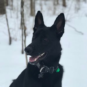 Meet your Posher, Grant